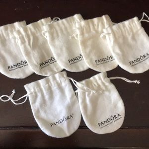 Pandora Pouches